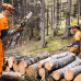 Захисна каска STIHL DYNAMIC Ergo зі щитком та навушниками (00008880808)