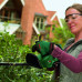 Акумуляторний кущоріз Bosch EasyHedgeCut 18-45 (0600849H02)