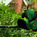 Акумуляторний кущоріз Bosch EasyHedgeCut 18-45 (0600849H02)
