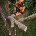 Аккумуляторная пила STIHL MSA 220 T (MA012000027) - фото №7